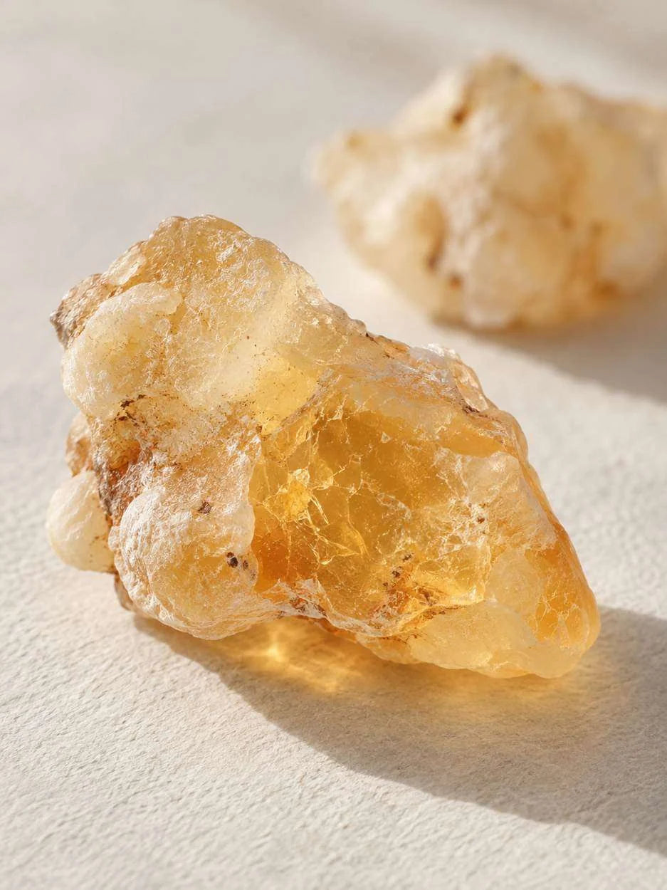Editorial macro study of translucent frankincense resin